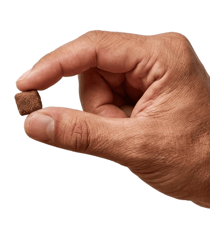 dettaglio mano che tiene tra le dita un croccantino quadrato